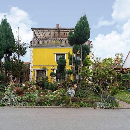 Holiday Flat With Garden In Wißmar Exteriör bild