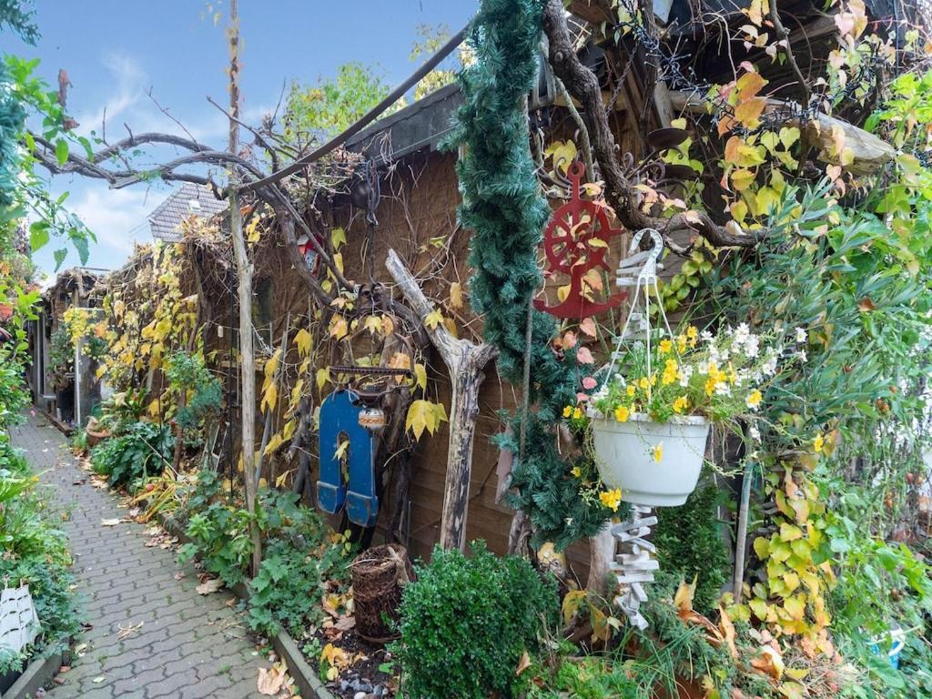 Holiday Flat With Garden In Wißmar Exteriör bild